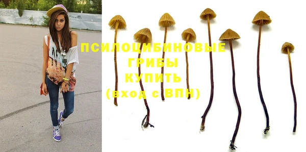 гашиш Богородицк