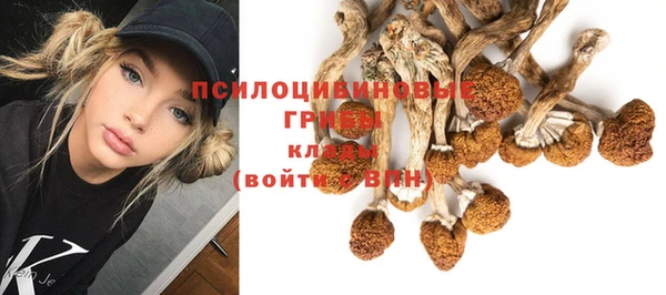 бутират Богородск